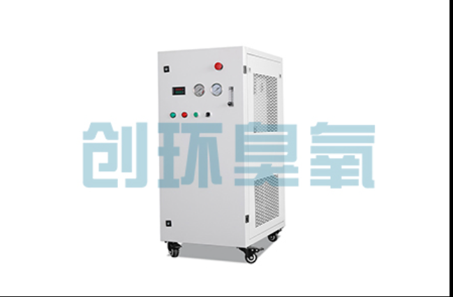南和工厂化养鲈必看：2026年臭氧发生器替代传统消毒的最新方案