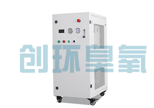 南和石斑鱼养殖水质调控完整指南:臭氧发生器配置与操作步骤