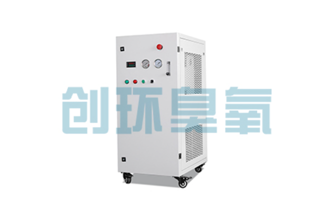 南和比传统换水更高效?臭氧发生器在石斑鱼养殖中的水质净化原理解析
